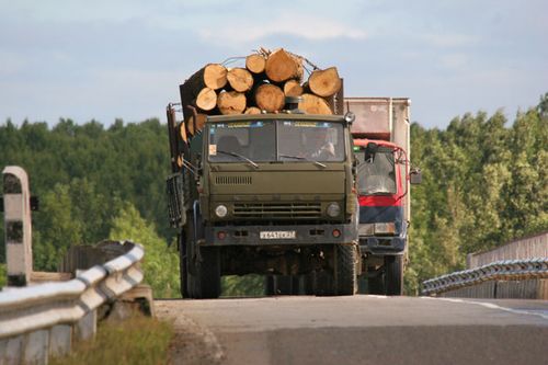 Вывоз леса в Финляндию